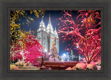 Load image into Gallery viewer, Salt Lake City Christmas Lights