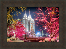 Load image into Gallery viewer, Salt Lake City Christmas Lights