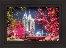 Load image into Gallery viewer, Salt Lake City Christmas Lights