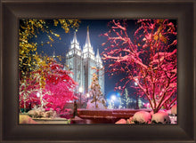 Load image into Gallery viewer, Salt Lake City Christmas Lights