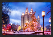 Load image into Gallery viewer, Salt Lake Christmas Temple