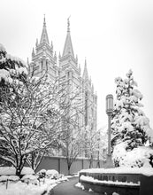 Load image into Gallery viewer, Salt Lake White Christmas