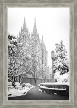 Load image into Gallery viewer, Salt Lake White Christmas