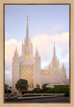 Load image into Gallery viewer, San Diego Pastel
