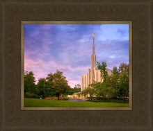 Load image into Gallery viewer, Seattle Evening Panorama