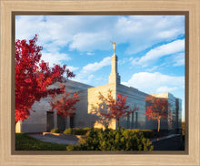 Load image into Gallery viewer, Snowflake Vivid Autumn