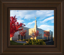 Load image into Gallery viewer, Snowflake Vivid Autumn