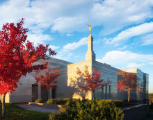 Load image into Gallery viewer, Snowflake Vivid Autumn