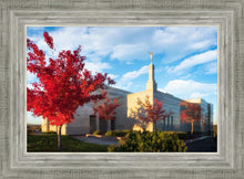 Load image into Gallery viewer, Snowflake Vivid Autumn
