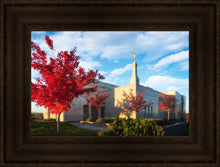 Load image into Gallery viewer, Snowflake Vivid Autumn