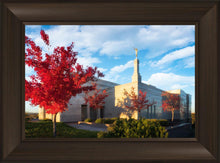 Load image into Gallery viewer, Snowflake Vivid Autumn