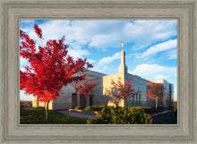 Load image into Gallery viewer, Snowflake Vivid Autumn