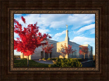 Load image into Gallery viewer, Snowflake Vivid Autumn