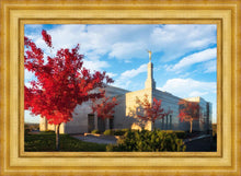 Load image into Gallery viewer, Snowflake Vivid Autumn