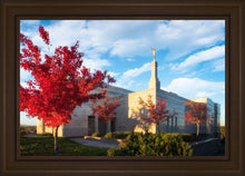 Load image into Gallery viewer, Snowflake Vivid Autumn