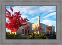 Load image into Gallery viewer, Snowflake Vivid Autumn