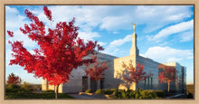 Load image into Gallery viewer, Snowflake Vivid Autumn