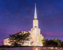 Load image into Gallery viewer, Spirit in St. Louis