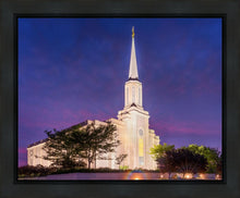 Load image into Gallery viewer, Spirit in St. Louis
