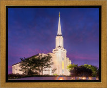 Load image into Gallery viewer, Spirit in St. Louis