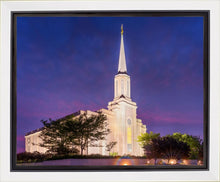 Load image into Gallery viewer, Spirit in St. Louis