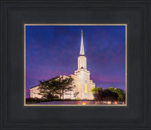 Load image into Gallery viewer, Spirit in St. Louis