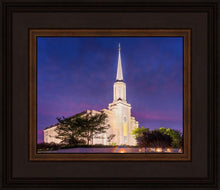 Load image into Gallery viewer, Spirit in St. Louis