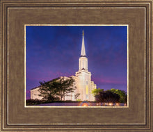 Load image into Gallery viewer, Spirit in St. Louis
