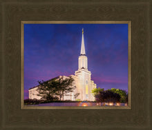 Load image into Gallery viewer, Spirit in St. Louis
