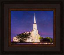 Load image into Gallery viewer, Spirit in St. Louis