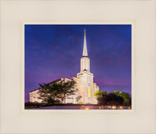 Load image into Gallery viewer, Spirit in St. Louis