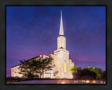 Load image into Gallery viewer, Spirit in St. Louis