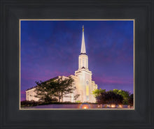 Load image into Gallery viewer, Spirit in St. Louis