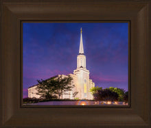 Load image into Gallery viewer, Spirit in St. Louis