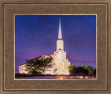 Load image into Gallery viewer, Spirit in St. Louis