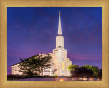 Load image into Gallery viewer, Spirit in St. Louis