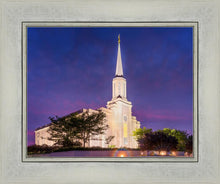 Load image into Gallery viewer, Spirit in St. Louis