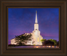 Load image into Gallery viewer, Spirit in St. Louis