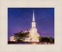 Load image into Gallery viewer, Spirit in St. Louis