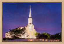 Load image into Gallery viewer, Spirit in St. Louis
