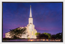 Load image into Gallery viewer, Spirit in St. Louis