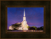 Load image into Gallery viewer, Spirit in St. Louis