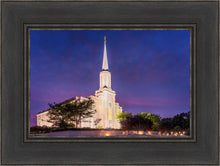 Load image into Gallery viewer, Spirit in St. Louis