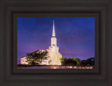 Load image into Gallery viewer, Spirit in St. Louis