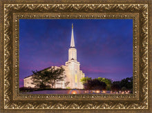 Load image into Gallery viewer, Spirit in St. Louis