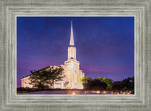Load image into Gallery viewer, Spirit in St. Louis