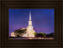Load image into Gallery viewer, Spirit in St. Louis