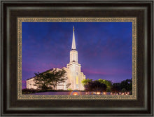 Load image into Gallery viewer, Spirit in St. Louis