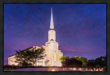 Load image into Gallery viewer, Spirit in St. Louis
