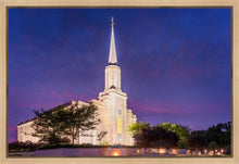 Load image into Gallery viewer, Spirit in St. Louis